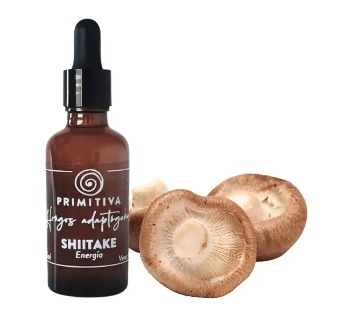 HONGO SHITAKE TINTURA MADRE 55 ML PRIMITIVA