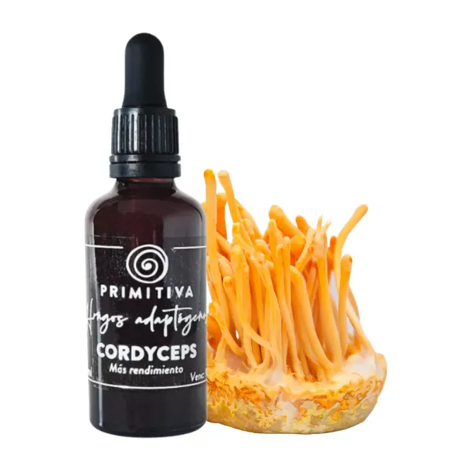 HONGO CORDYCEPS TINTURA MADRE 55 ML PRIMITIVA